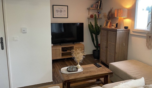 Apartment 'La Petite Alpille - Chez Clara' with Private Terrace, Wi-Fi and Air Conditioning