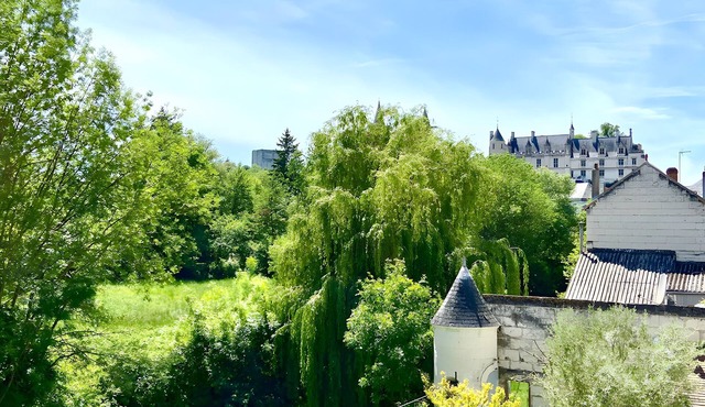 Apartment 'La Tourelle Des Cordeliers' with Private Terrace, Shared Garden and Wi-Fi