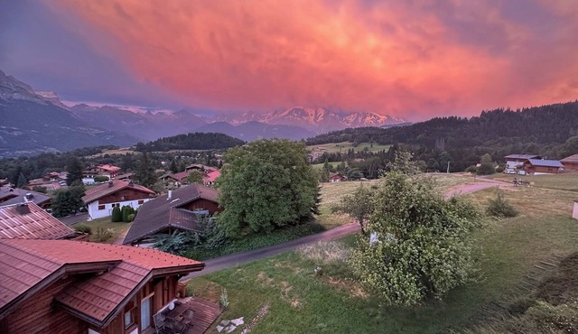 Apartment Le balcon du Mont Blanc