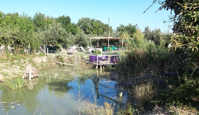 Apartment Le Cailar, 2 bedrooms, 4 persons