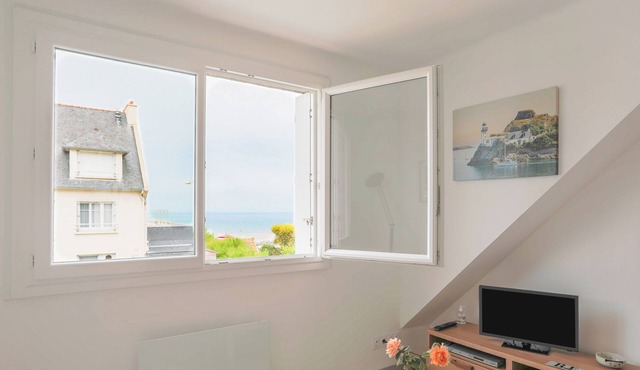 Apartment 'Le Petit Rozeur - Appt Vue Mer' with Sea View