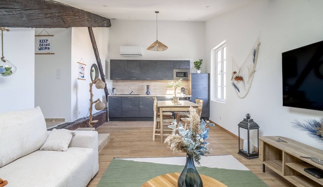 Apartment 'Le Somail - Louis 14' with Lake View, Wi-Fi and Air Conditioning