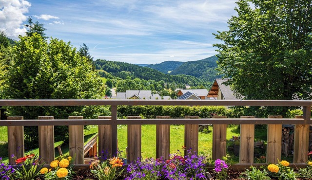 Apartment Les Roses du Vercors Panoramic view