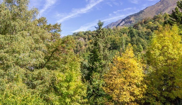 Apartment Luz-Saint-Sauveur, 1 bedroom, 6 persons