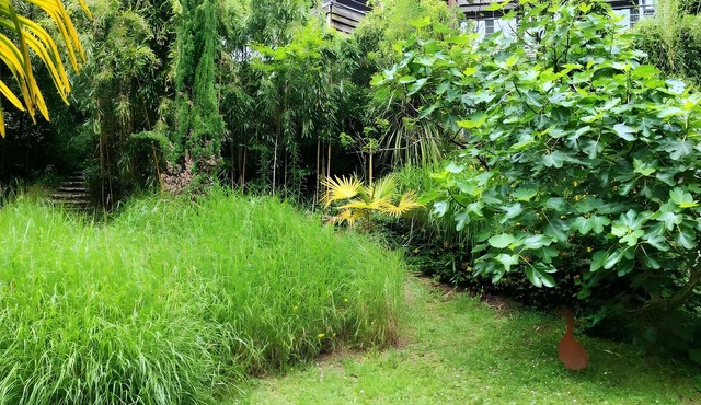 Apartment “Maison Des Bois” with Private Terrace, Garden, and Wi-Fi