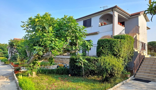 Apartment Marija, (15841), Umag, hr
