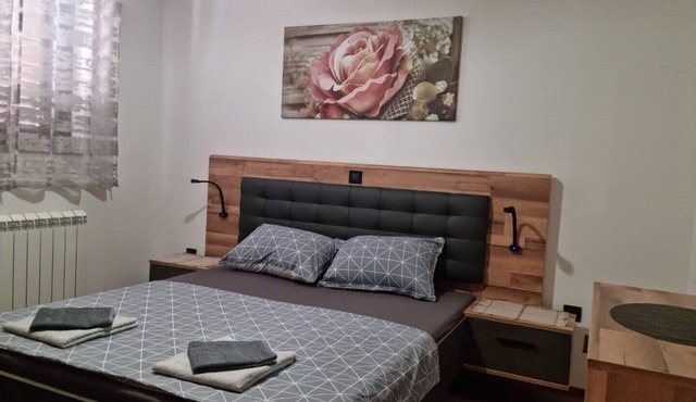 Apartment Markovic in Vizinada
