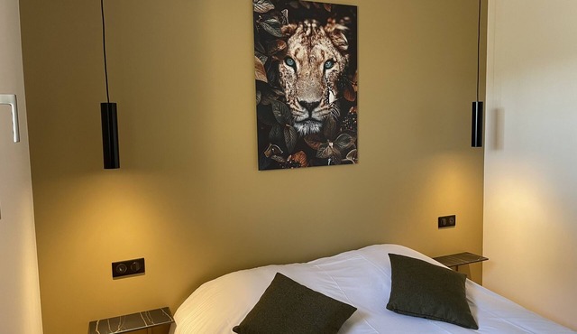 Apartment-Modern-Ensuite with Shower-Terrace-Le raffiné - RDC