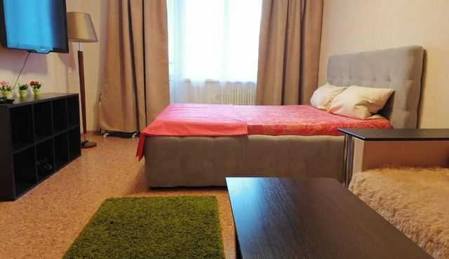 Apartment na Shishkova 142