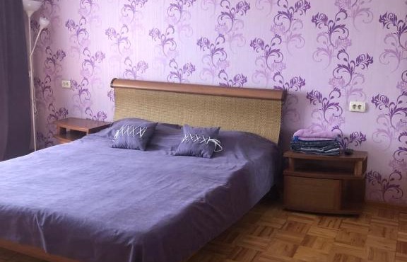 Apartment near circus on Pushkinskaya