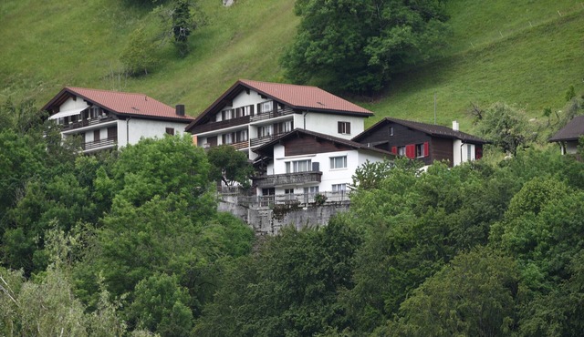 Apartment near Pizol