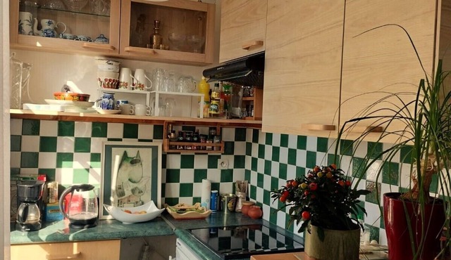 Apartment near Place de la Bastille