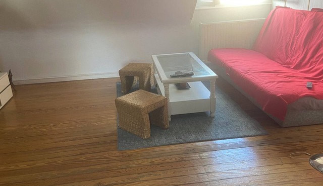 Apartment near Strasbourg city center