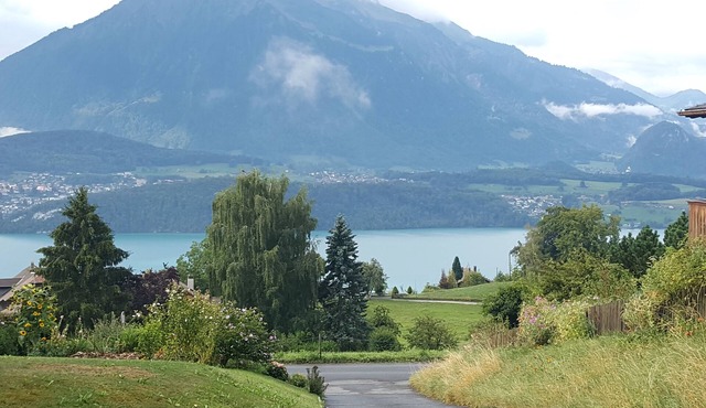 Apartment Niesenblick on Lake Thun