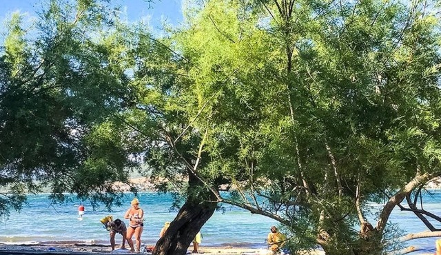 Apartment Niko - 40m from the beach: A3(4+2) - Donji Karin, Zadar riviera, Croatia