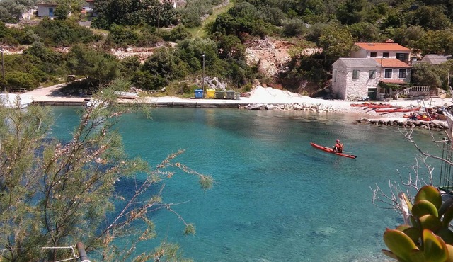 Apartment Nikola - in front of the sea: - Cove Donja Krusica (Donje selo), Island Solta, Croatia