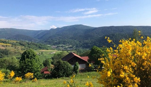 Apartment on Vosges farm with terrace, fireplace and wifi
