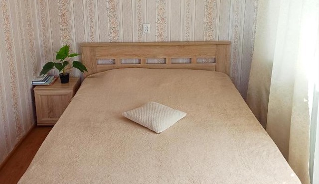 Apartment on Guseva 5