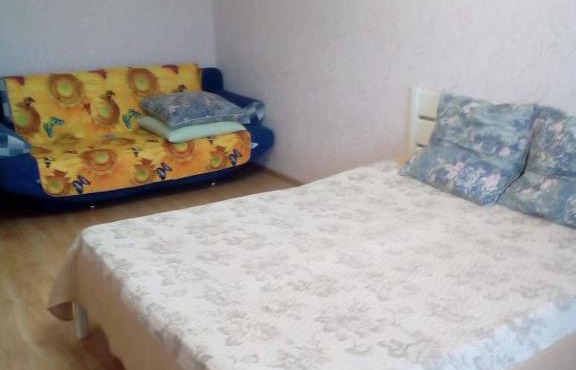 Apartment on Khimikov 15