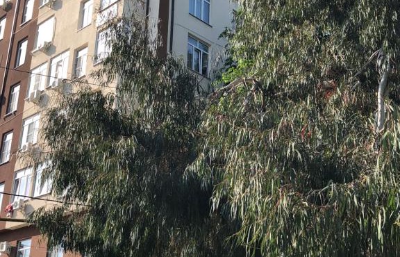 Apartment on Orbitovskaya