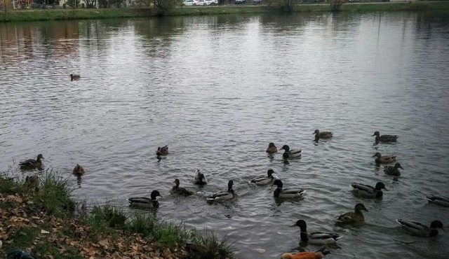 Apartment on Pervomayskaya 92