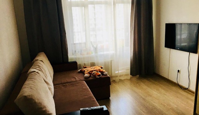 Apartment on Soyuznyy prospekt 4