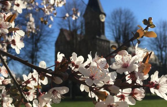 Apartment on Staropregolskaya naberezhnaya 16