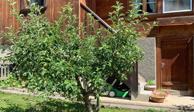 Apartment on the farm