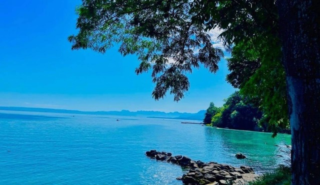 Apartment on the most beautiful beach of Lake Geneva