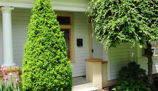 Apartment on the Park