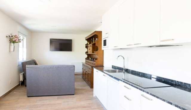 Apartment PAGOZABAL