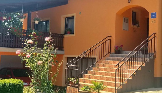 Apartment Petrovic