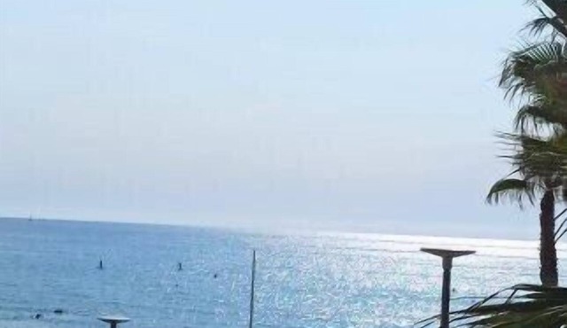 Apartment Playa San Juan Alicante
