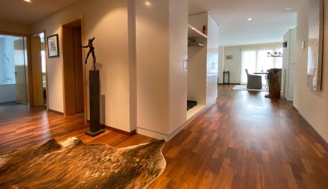 Apartment Plugge by Interhome