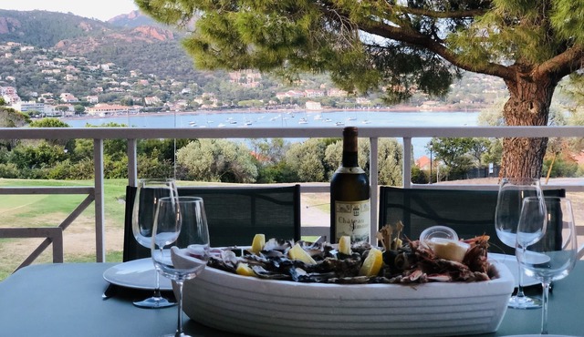 Apartment PREMIUM in the village CAP ESTEREL sea view renovated air-conditioned ground floor