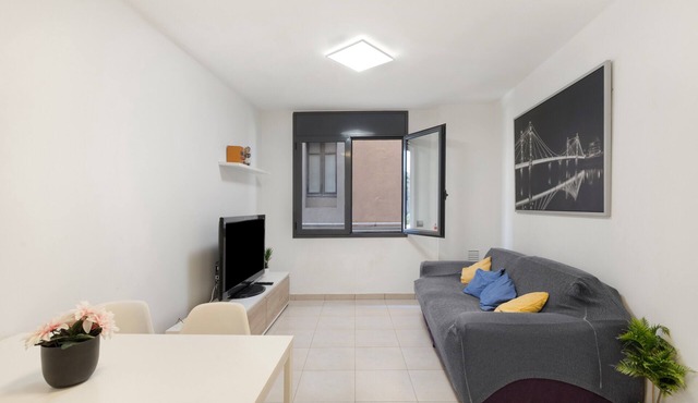 Apartment 'Puig Cardener 1' with Wi-Fi
