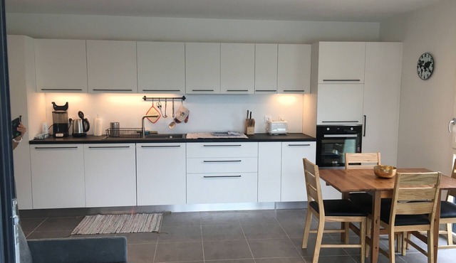 Apartment - Recent large two-room apartment- St JORIOZ - Lake Annecy