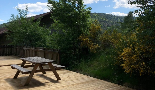 Apartment Remiremont, 3 bedrooms, 6 persons