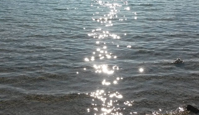 Apartment Residence Luxury building Promotion from August 24 to September 7