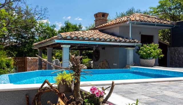 Apartment Roko with a private Swimming pool and stone grill