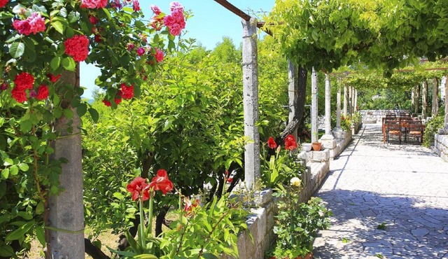Apartment & Rooms Savonari