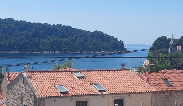 Apartment Saul Cavtat - One Bedroom Apartment with Terrace and Sea View