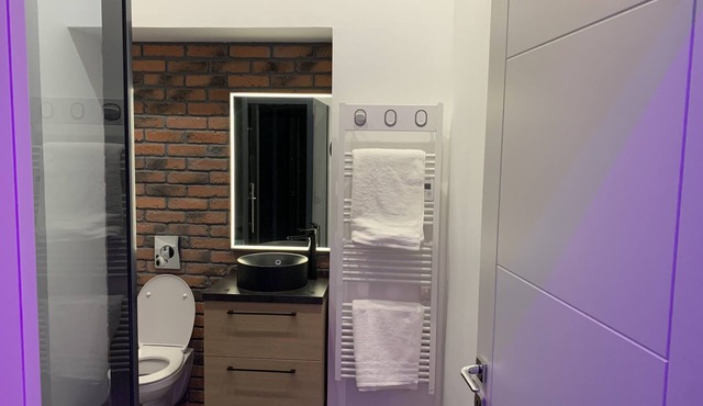 Apartment Sauna & Spa - Nahleo Industriel