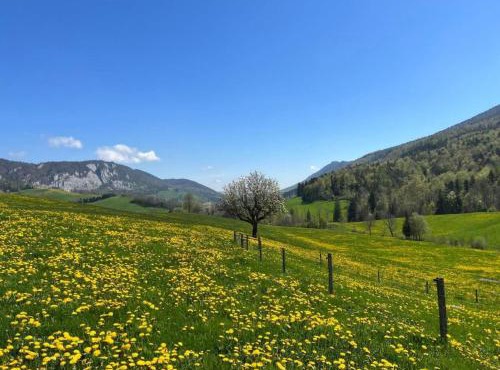 Apartment Schafmatthof 1 Obergeschoss by Interhome