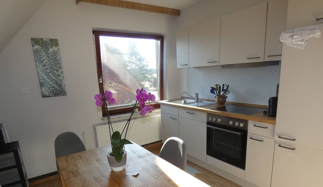 Apartment Schmidt in Kremperheide