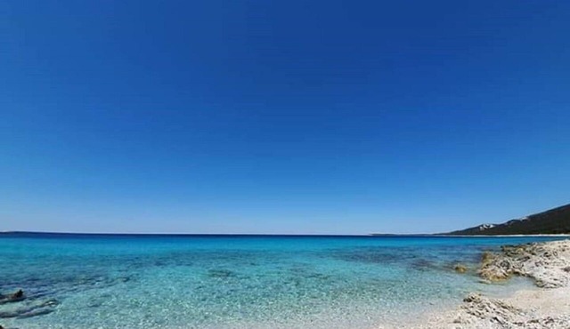 Apartment Silvana - 100 m from beach - Bozava, Island Dugi otok, Croatia