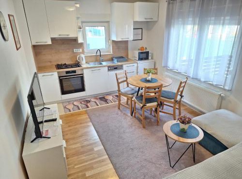 Apartment Silvia Zagreb- Free Private Parking,
