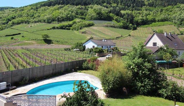 APARTMENT/spa WITH AMAZING VIEWS OF THE ALSACIAN VINEYARDS