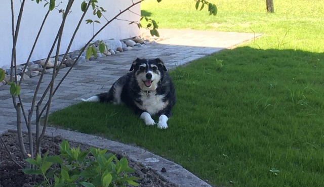 Apartment "Steinern" with private car park