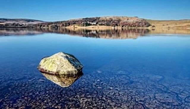 Apartment Studio Ensuite with Shower & Garden View at Linton Court Coach House